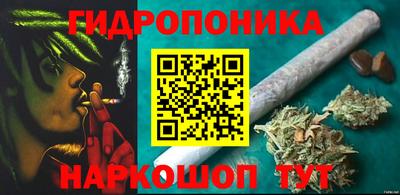 крисы Краснокаменск