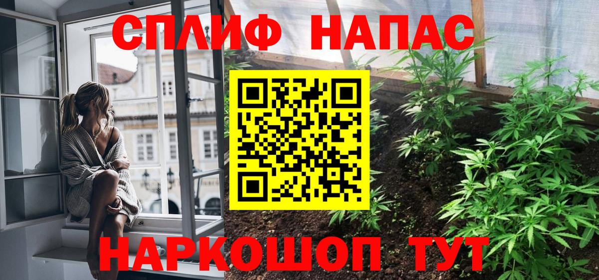 Ялуторовск  МАРИХУАНА Bruce Banner  Марихуана план  Вход с VPN  Марихуана семена 